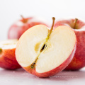 Top Grade Fresh Apple для Red Fuji Apple